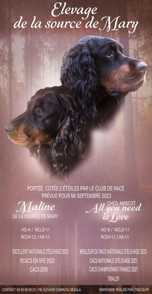 De La Source De Mary - Maline & "Neilan" futurs parents