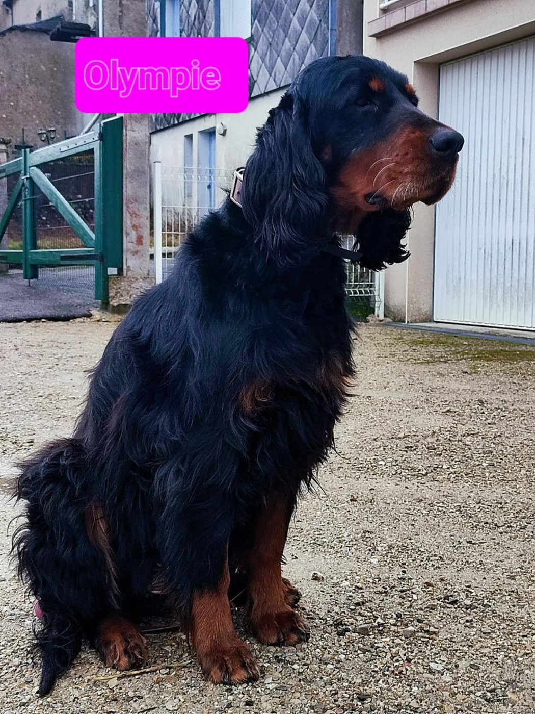 OLYMPIE de la Source de Mary a rencontré son "fiancé"