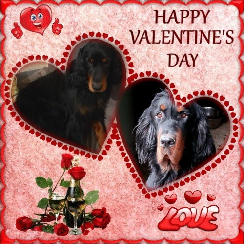 Nos Fiancés de la Saint-Valentin