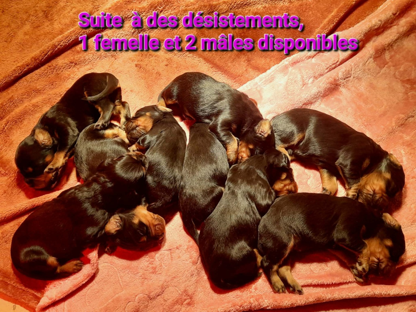 Les bébés ont 2 semaines