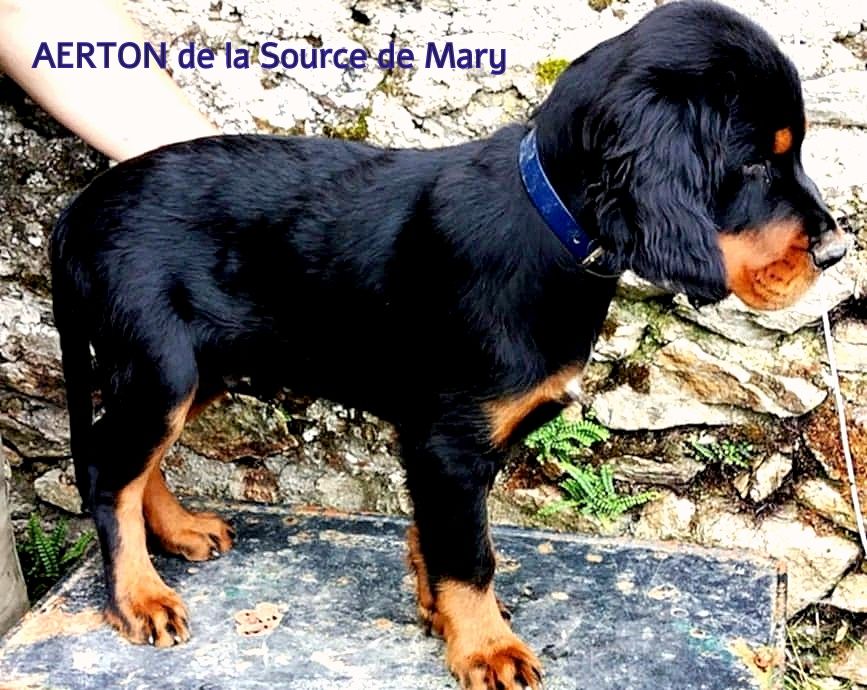 AERTON attend une famille
