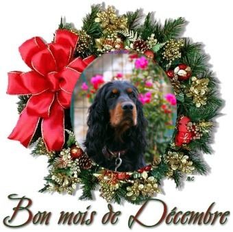 Bon mois de Décembre