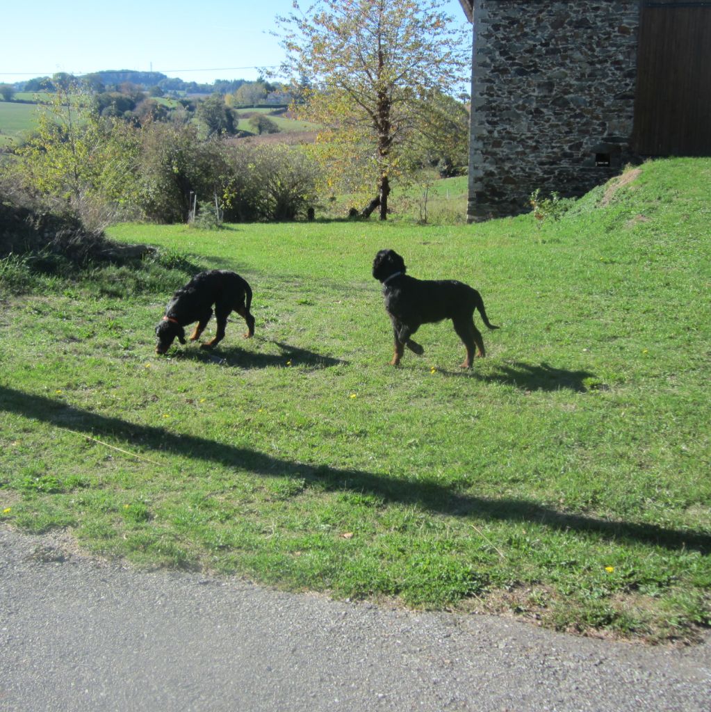 Première sortie dans la nature!