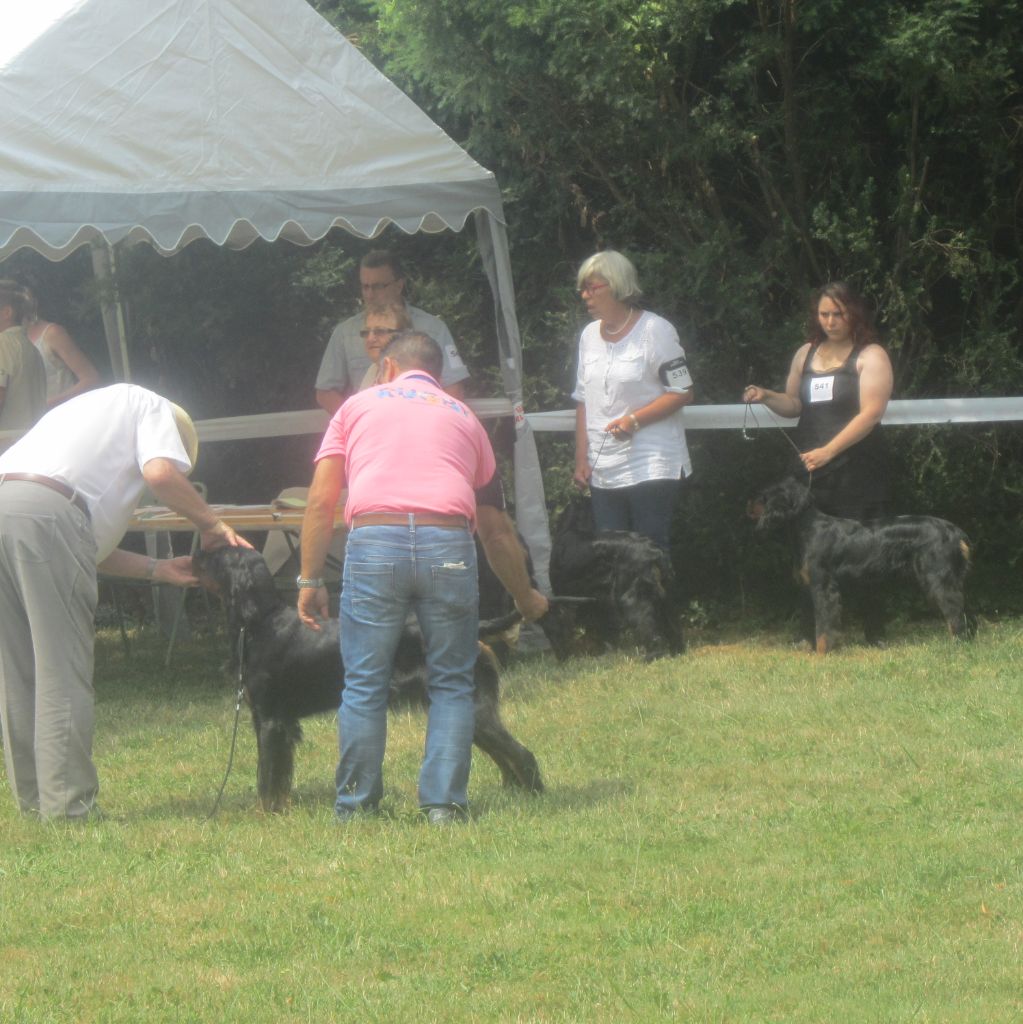 Exposition Canine à Aurillac le 21 Juillet 2019!