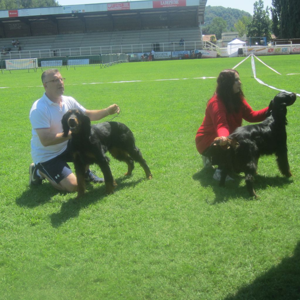 Exposition Canine à Cahors le 4 Août 2019!